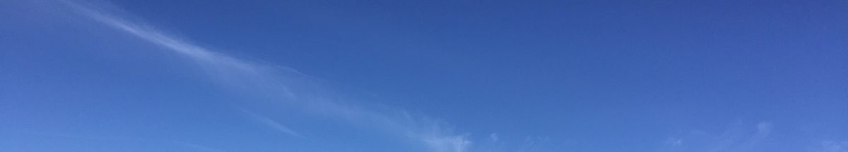 Try Thirty New Things